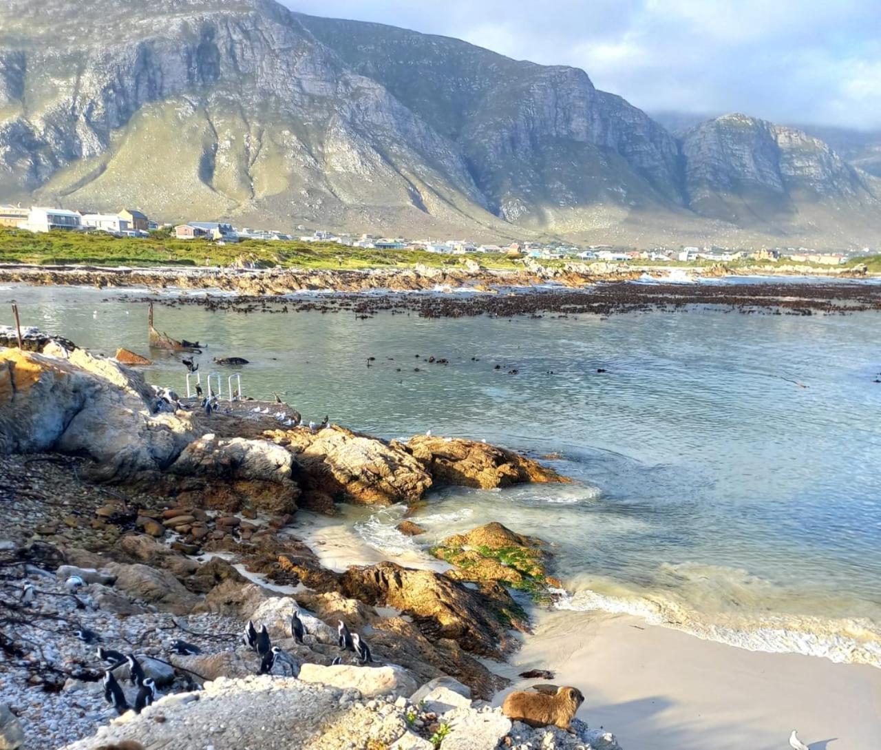 Nivenia Beach House Bettyʼs Bay 외부 사진